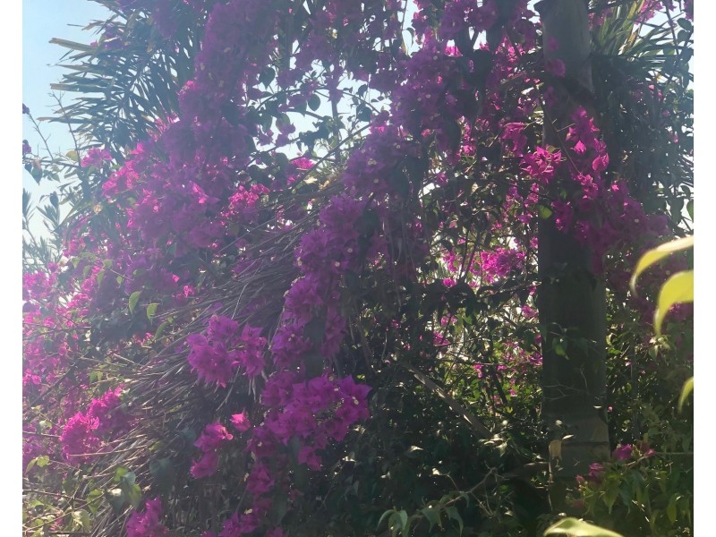 5 Gibb, Mount Perry QLD 4671