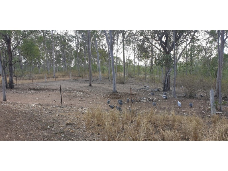 48 Jacks Rd Horse Camp, Gin Gin QLD 4671