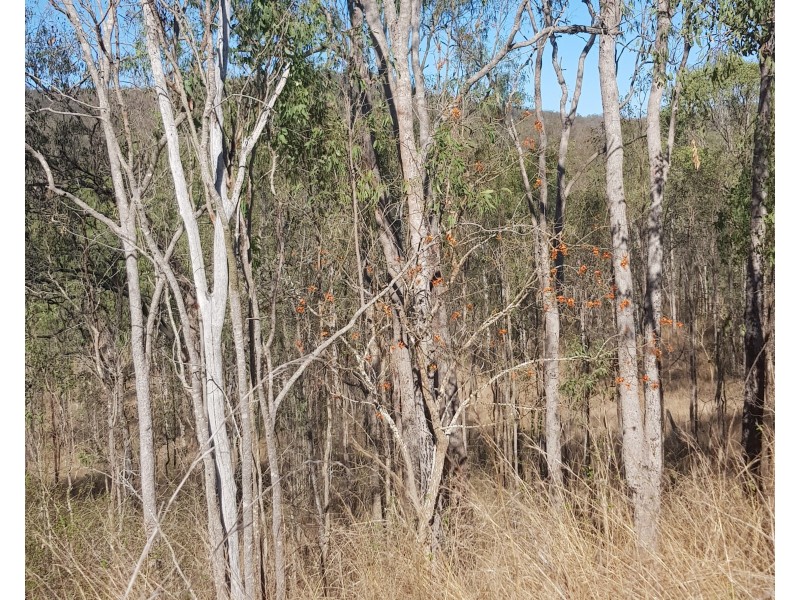 28 Barton Rd Kolonga, Gin Gin QLD 4671