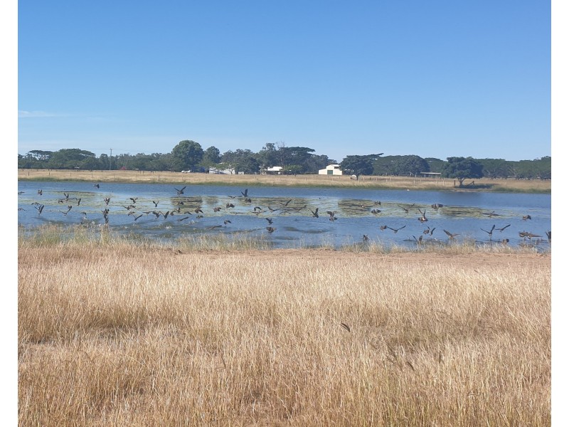 66 Grahams Rd Wallaville, Gin Gin QLD 4671