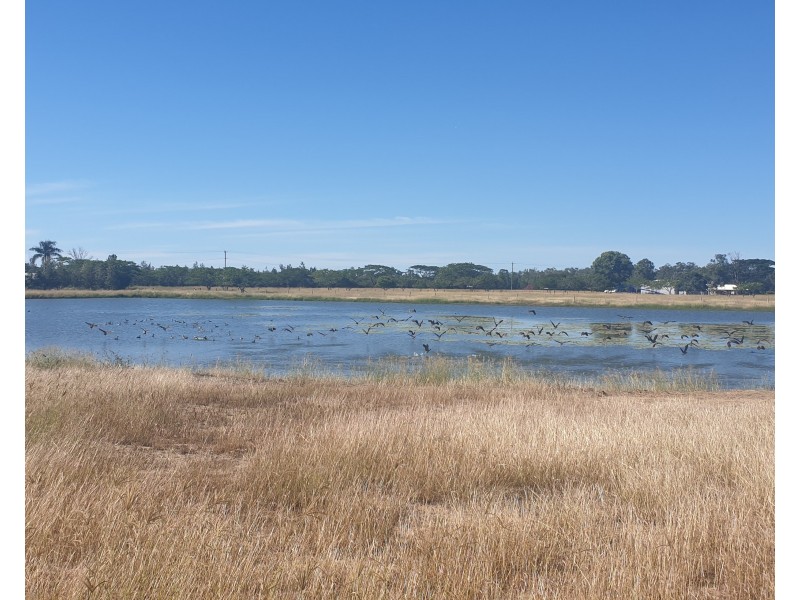 66 Grahams Rd Wallaville, Gin Gin QLD 4671