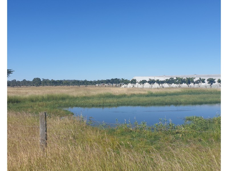 66 Grahams Rd Wallaville, Gin Gin QLD 4671