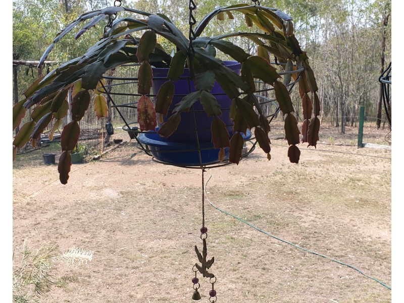 1195 Gin Gin Mt Perry Rd, Gin Gin QLD 4671