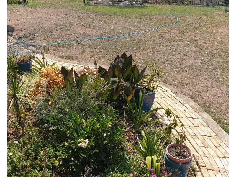 1195 Gin Gin Mt Perry Rd, Gin Gin QLD 4671