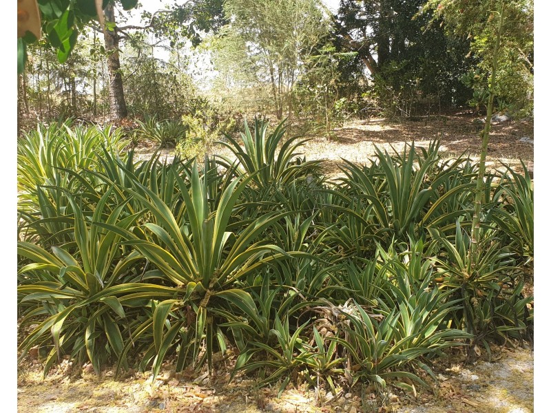 11 George Street, Mount Perry QLD 4671