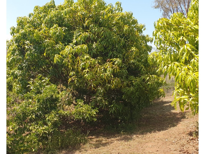 35 Woodswallows Drive, Gin Gin QLD 4671