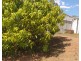 35 Woodswallows Drive, Gin Gin QLD 4671