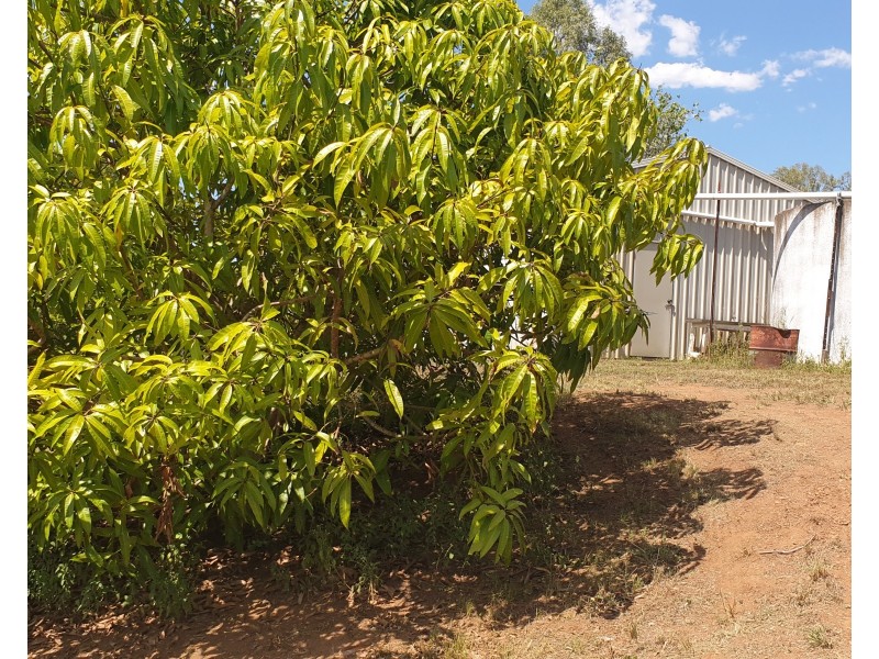 35 Woodswallows Drive, Gin Gin QLD 4671