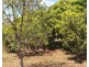 35 Woodswallows Drive, Gin Gin QLD 4671