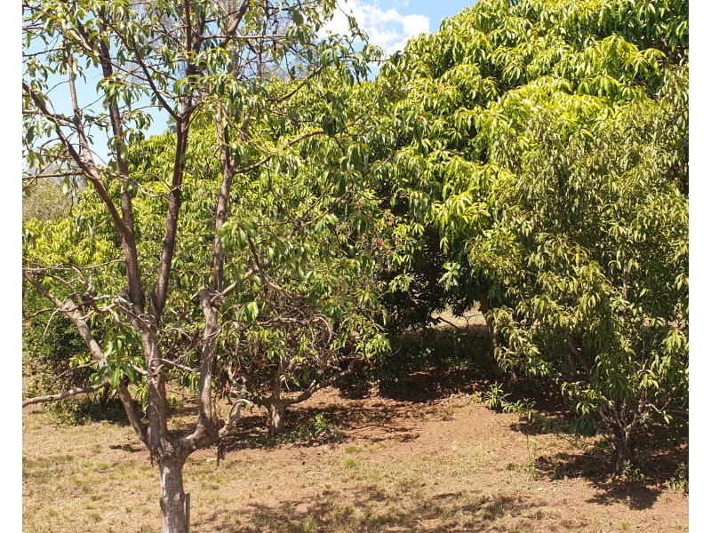 35 Woodswallows Drive, Gin Gin QLD 4671