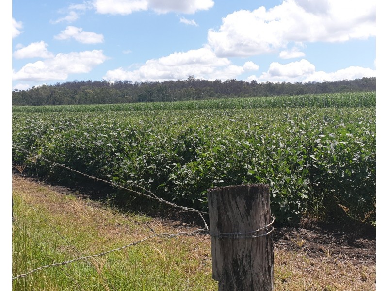Lot 90 Harris Road Delan, Gin Gin QLD 4671