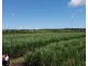 Lot 90 Harris Road Delan, Gin Gin QLD 4671