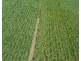 Lot 90 Harris Road Delan, Gin Gin QLD 4671