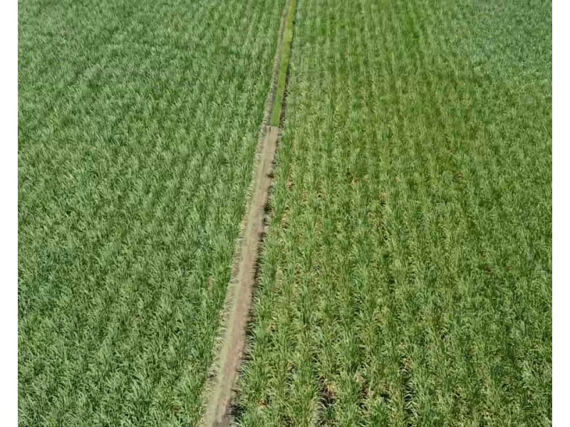 Lot 90 Harris Road Delan, Gin Gin QLD 4671