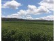 Lot 90 Harris Road Delan, Gin Gin QLD 4671