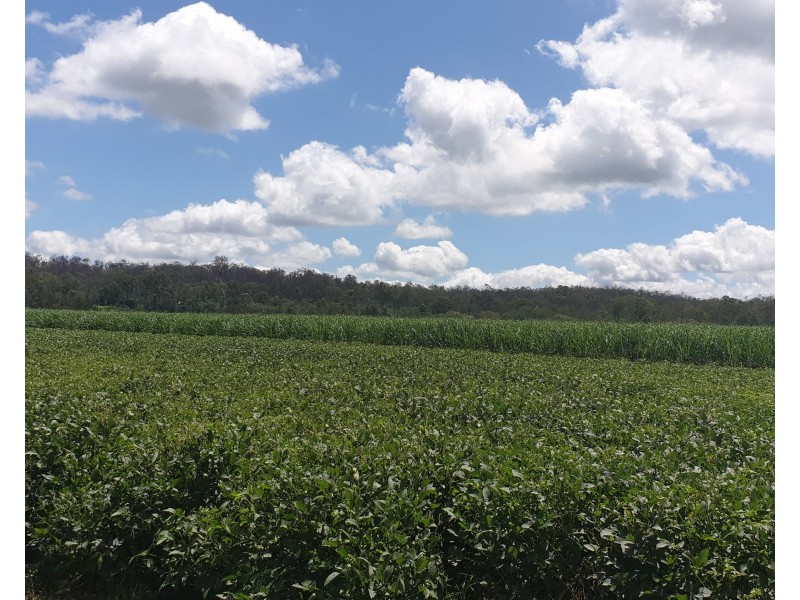 Lot 90 Harris Road Delan, Gin Gin QLD 4671
