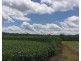 Lot 90 Harris Road Delan, Gin Gin QLD 4671