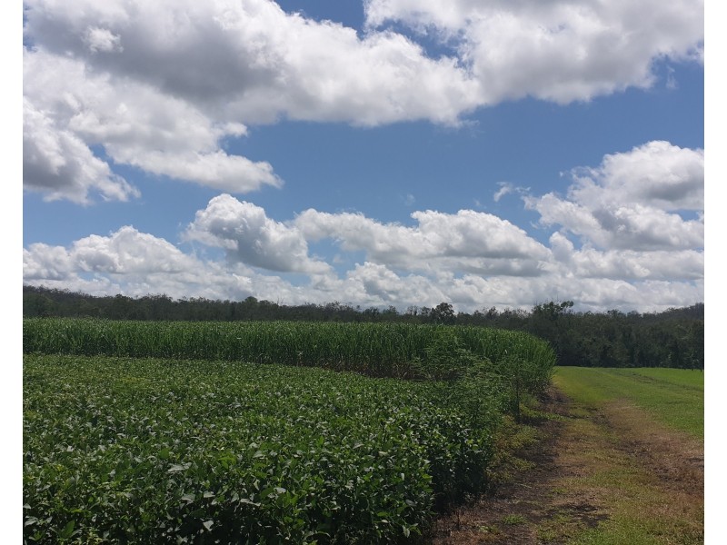 Lot 90 Harris Road Delan, Gin Gin QLD 4671