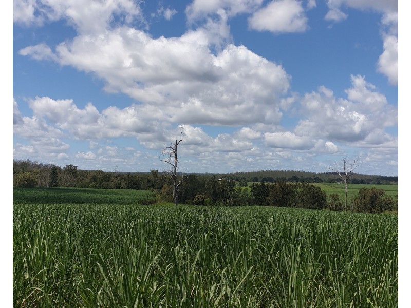 Lot 90 Harris Road Delan, Gin Gin QLD 4671