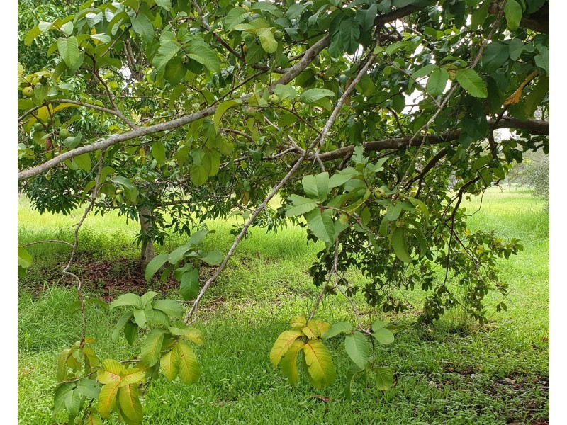 131 St Kilda Rd Tirroan, Gin Gin QLD 4671