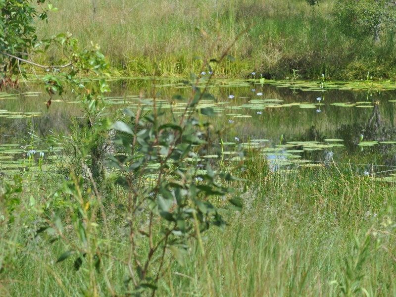 105 Tobin Shortcut Rd Horse Camp, Gin Gin QLD 4671