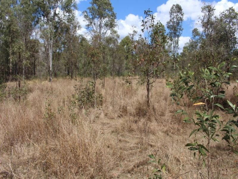 Lot 11 Sues Road, Gin Gin QLD 4671