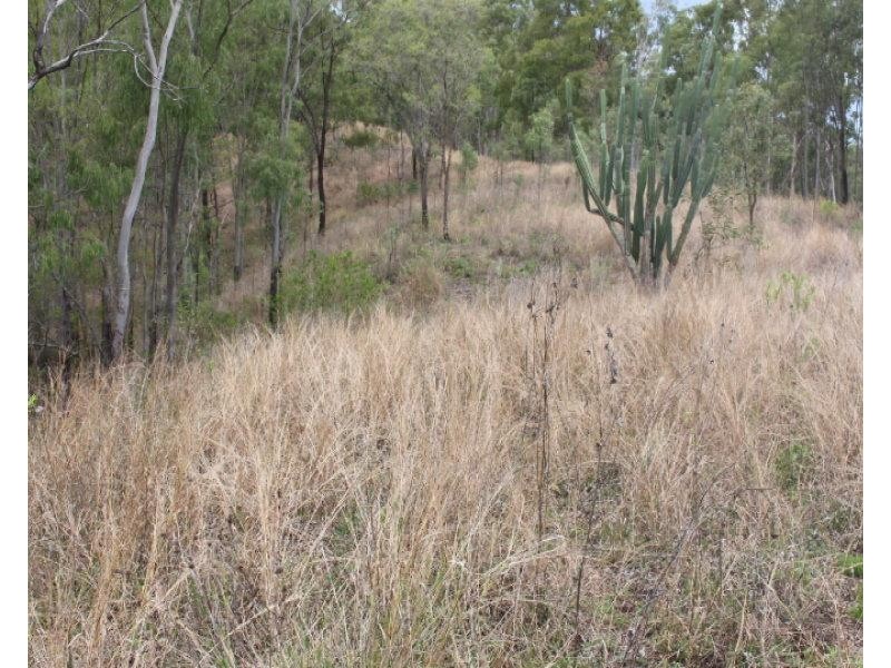 Lot 5 Goyan Road, Gin Gin QLD 4671