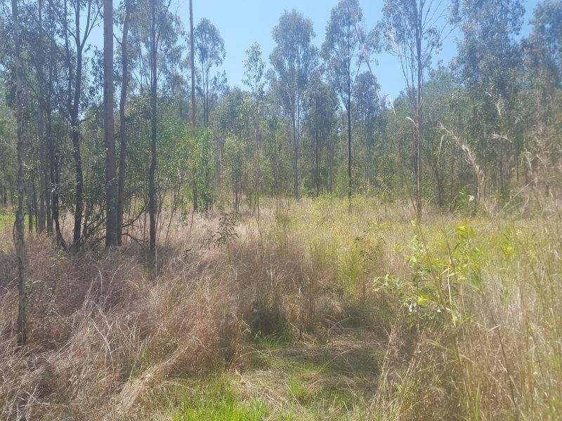 Lot 14, 1325 Gin Gin Mt Perry Road, Gin Gin QLD 4671