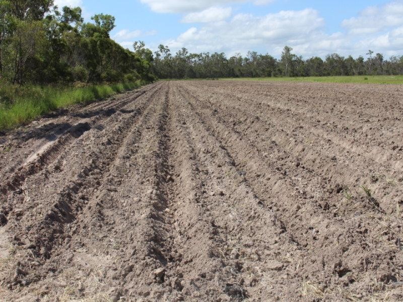 3454 Bundaberg-Gin Gin Road, Gin Gin QLD 4671