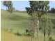 New Moonta QLD 4671