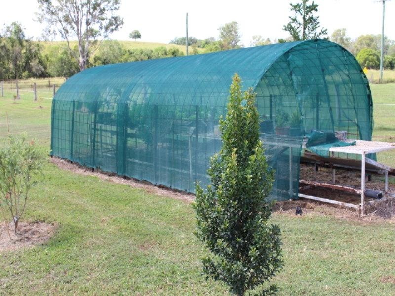 378 Ferry Hills Road, Wallaville QLD 4671