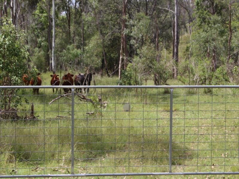 249 Stronachs Road, Wallaville QLD 4671