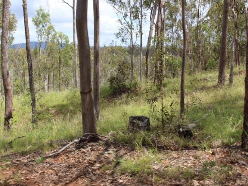 249 Stronachs Road, Wallaville QLD 4671