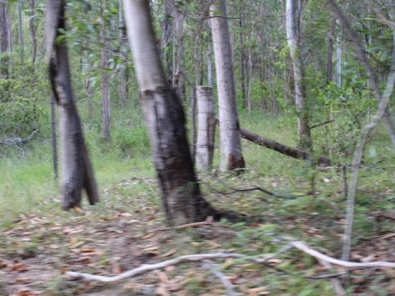 249 Stronachs Road, Wallaville QLD 4671