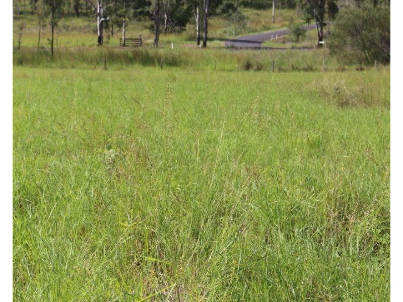 1067 Gin Gin Mt Perry Road, Gin Gin QLD 4671