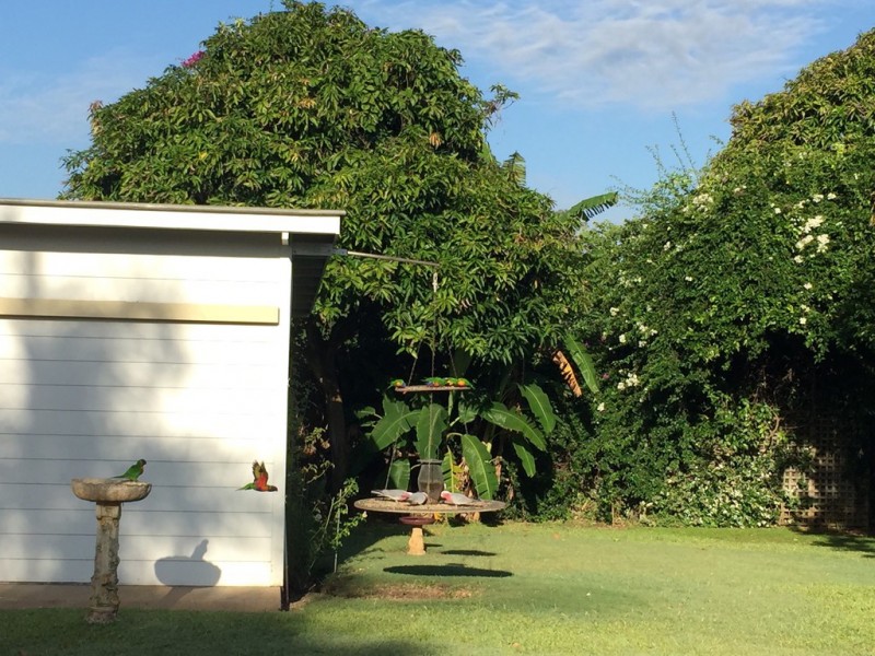 19 Mulgrave St, Gin Gin QLD 4671