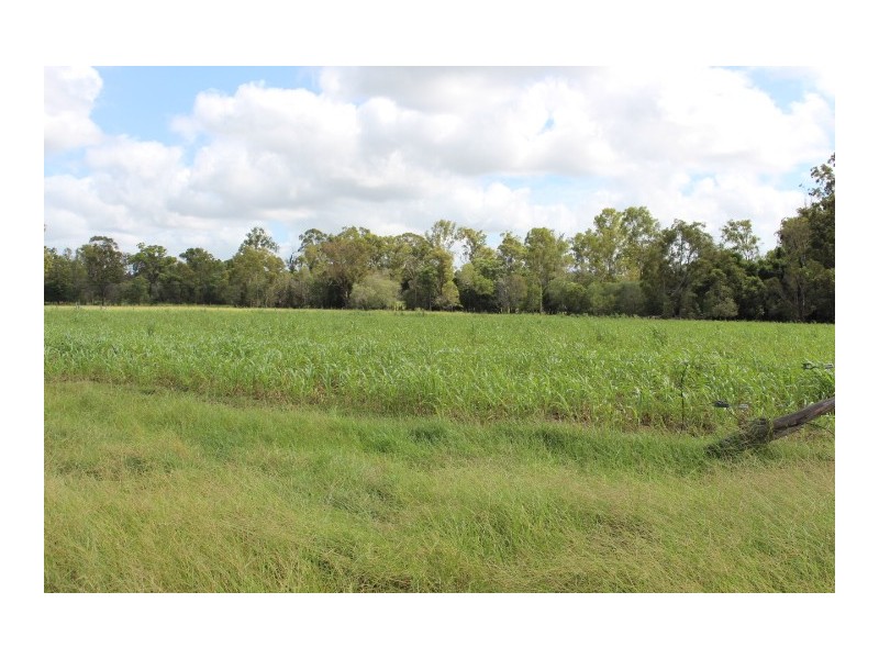 70/159 cloyne Rd, Drinan QLD 4671