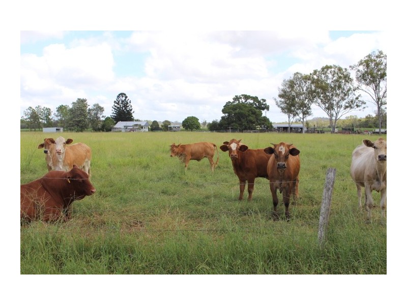 70/159 cloyne Rd, Drinan QLD 4671