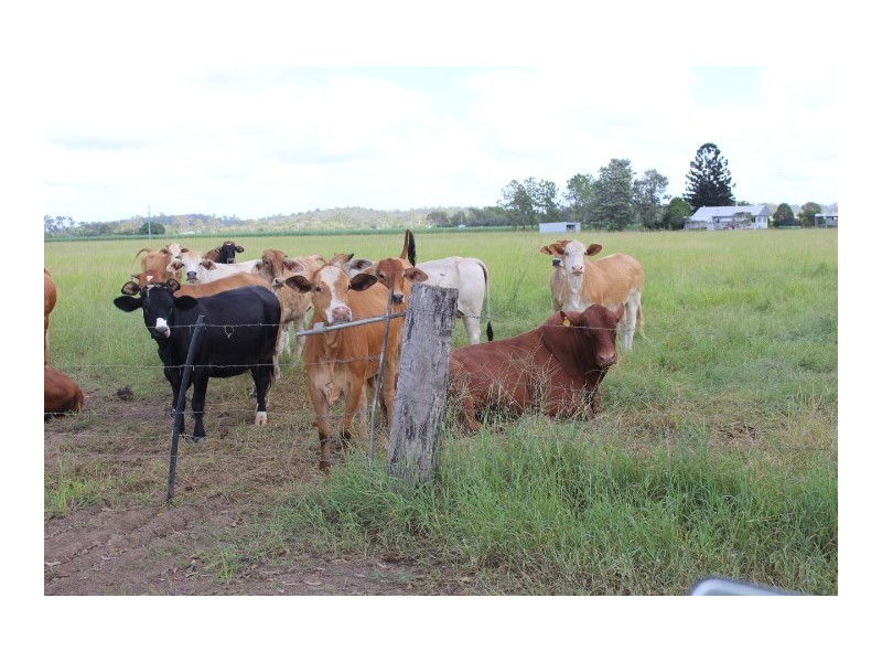 70/159 cloyne Rd, Drinan QLD 4671