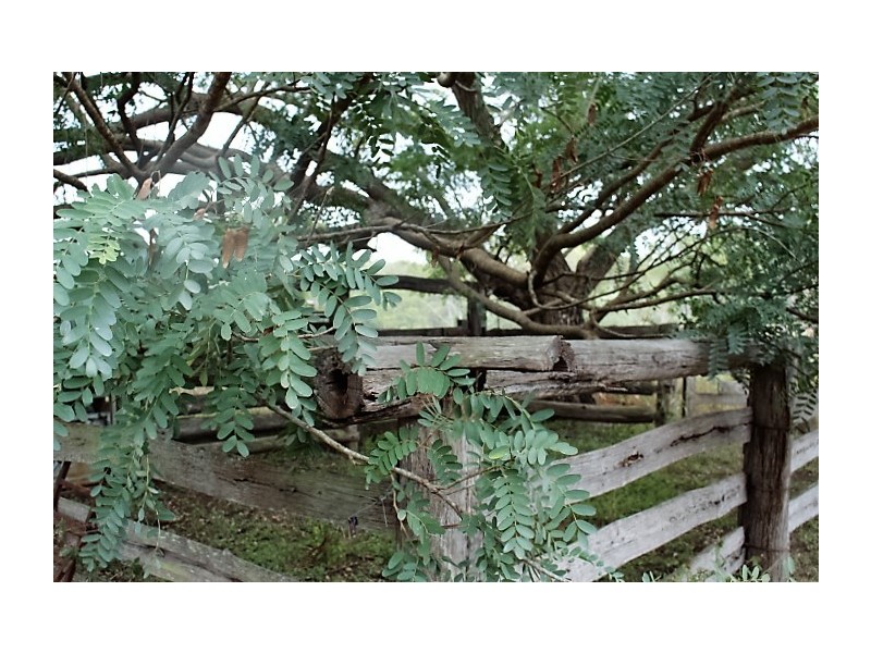 587 Moolboolaman Rd, Gin Gin QLD 4671