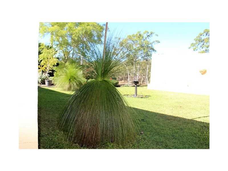 42 Delan, Gin Gin QLD 4671