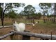 248 Damascus Rd, Gin Gin QLD 4671