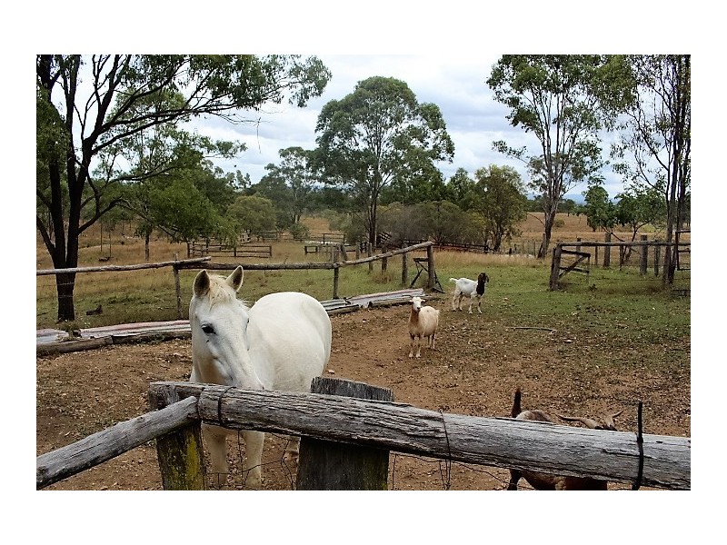 248 Damascus Rd, Gin Gin QLD 4671