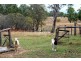 248 Damascus Rd, Gin Gin QLD 4671