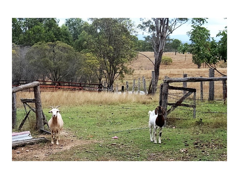 248 Damascus Rd, Gin Gin QLD 4671