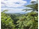 16 Spurwood Road, Cow Bay QLD 4873