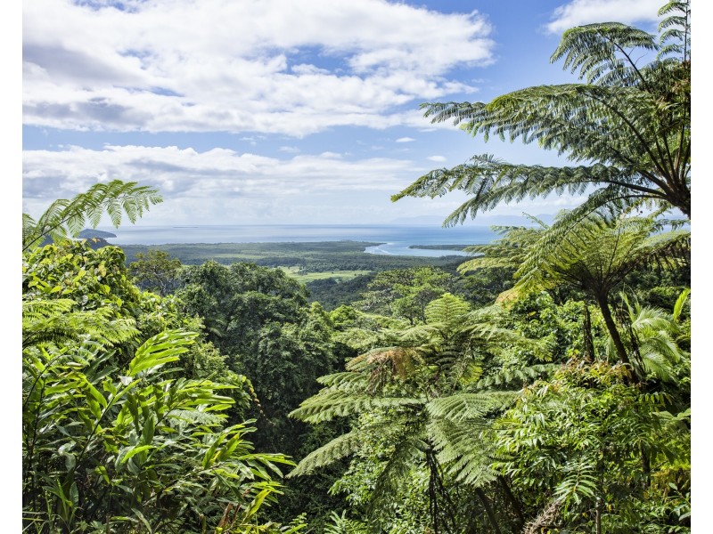 16 Spurwood Road, Cow Bay QLD 4873