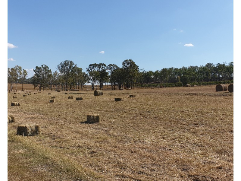245 Sondergeilds, Gin Gin QLD 4671