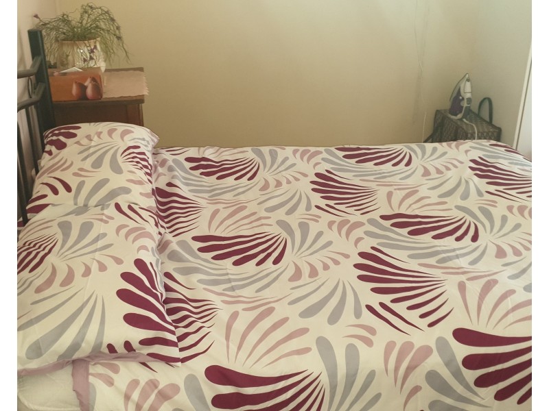 52 Marshall Avenue, Maroondan QLD 4671