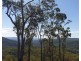 931 Nearum Road, Nearum QLD 4671
